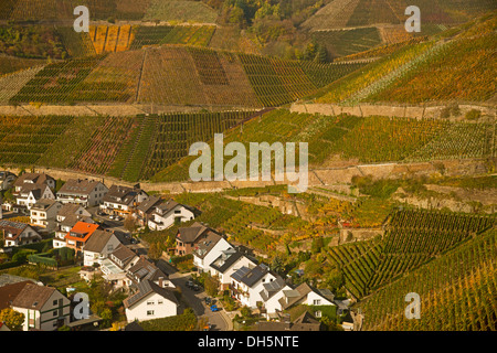 Dorf von Dernau ein der Ahr, Weinberge im Ahrtal, Wein, wo rote Wein-Trauben der Sorten Pinot Noir und Portugiesisch Stockfoto
