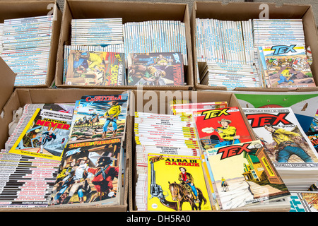 Comic-Bücher zum Verkauf auf einem Flohmarkt in Arezzo, Toskana, Italien Stockfoto