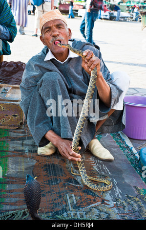 Snake Charmer mit seiner Schlangen in der Djemaa el Fna entfernt, Platz der erhängte, Marrakesch, Marokko, Afrika Stockfoto