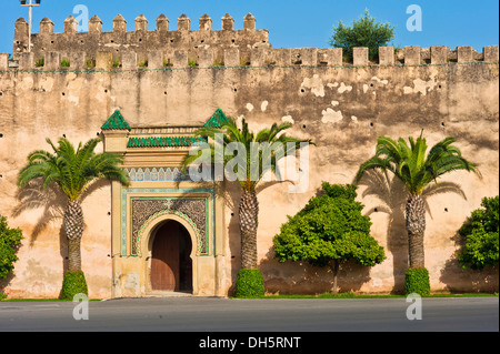 Typisches Tor mit Ornamenten, Schlamm Ziegelwand mit Palmen Bäume, Königspalast, Dar El-Makhzen, Meknès, Marokko, Afrika Stockfoto