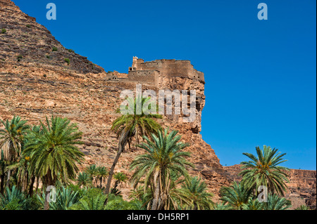 Agadir Aguelluy, befestigte Burg auf einem Felsen Datum Palmen (Phoenix) auf Vorderseite, Amtoudi, Anti-Atlas oder weniger Atlas-Gebirge Stockfoto