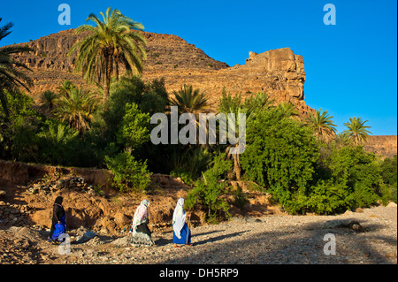 Agadir Aguelluy, befestigte Burg auf einem Felsen, Dattelpalmen (Phoenix) vorne, drei Berberfrauen zu Fuß durch ein ausgetrocknetes Flussbett, Stockfoto