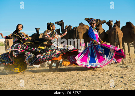 Drei junge Frauen in bunten Kleidern tanzen vor einer Herde von Kamelen, Pushkar Camel Fair, Pushkar, Rajasthan, Indien Stockfoto