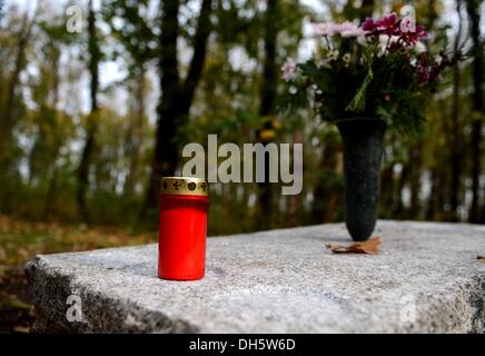 Berlin, Deutschland. 1. November 2013. Eine Kerze sitzt auf einer Steinplatte in Friedewald, natürliche Begräbnisstätte des Friedhofs am St.-Bartholomäus-Kirche in Berlin, Deutschland, 1. November 2013. Drei Hektar Waldflächen stehen Menschen auf dem Friedhof begraben. Foto: BRITTA PEDERSEN/Dpa/Alamy Live News Stockfoto