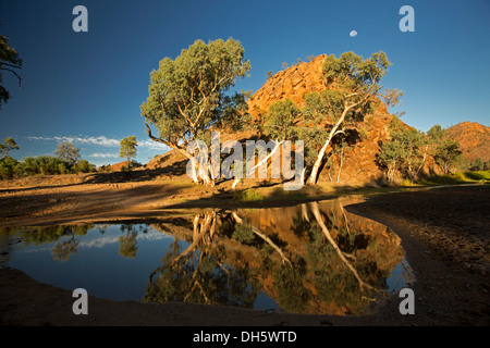 Australische Outback-Landschaft mit Ghost Zahnfleisch und Felsen im ruhigen Wasser des Ross River in der Morgendämmerung mit Vollmond im blauen Himmel reflektiert Stockfoto