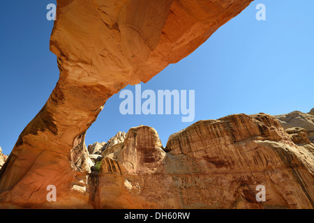 Hickman Bridge Trail, Capitol Reef National Park, Utah, USA Stockfoto