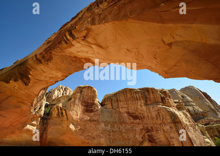 Hickman Bridge Trail, Capitol Reef National Park, Utah, Südwesten der USA Stockfoto