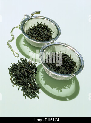 Eine geöffnete Teesieb mit losen getrockneten grünen Tee Blätter. Stockfoto