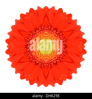 Orange Mandala Gerbera Blume Kaleidoskop, Isolated on White Background Stockfoto