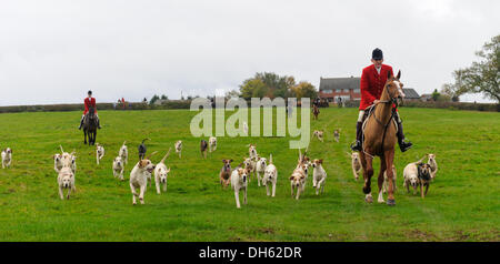 Queniborough, Leicestershire, UK.  1. November 2103. Quorn Jäger Peter Collins und seinen Hunden in traditionellen Saison der Jagd treffen am Queniborough. Bildnachweis: Nico Morgan/Alamy Live-Nachrichten Stockfoto