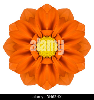 Orange Mandala Gerbera Blume Kaleidoskop, Isolated on White Background Stockfoto