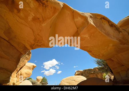 "Metate Bogen", Naturale, Teufels Garten, erodierten Hoodoos und Entrada Sandstein Felsformationen, Goblins, Stockfoto