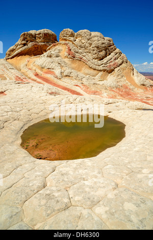 Gehirn-Felsen am White Pocket, ausgewaschene Navajo Sandsteinfelsen mit Liesegang Bands oder Liesegang-Ringe, Pareah Paria Plateau, Stockfoto