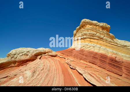 Lollipop Rock, Gehirn Felsen am White Pocket erodiert Navajo Sandsteinfelsen mit Liesegang Bands oder Liesegang-Ringe, Pareah Paria Stockfoto