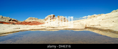 Gehirn-Felsen am White Pocket, ausgewaschene Navajo Sandsteinfelsen mit Liesegang Bands oder Liesegang-Ringe, Pareah Paria Plateau, Stockfoto