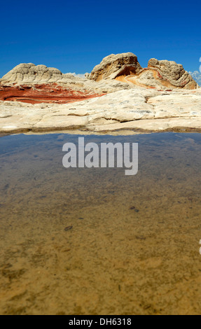 Gehirn-Felsen am White Pocket, ausgewaschene Navajo Sandsteinfelsen mit Liesegang Bands oder Liesegang-Ringe, Pareah Paria Plateau, Stockfoto