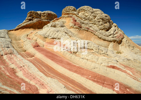 Gehirn-Felsen am White Pocket, ausgewaschene Navajo Sandsteinfelsen mit Liesegang Bands oder Liesegang-Ringe, Pareah Paria Plateau, Stockfoto