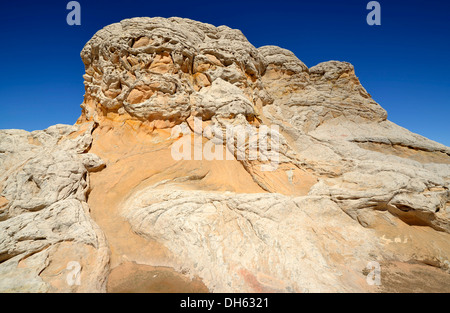 Gehirn-Felsen am White Pocket, ausgewaschene Navajo Sandsteinfelsen mit Liesegang Bands oder Liesegang-Ringe, Pareah Paria Plateau, Stockfoto