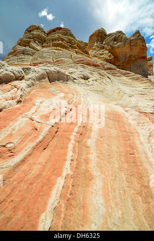 Gehirn-Felsen am White Pocket, ausgewaschene Navajo Sandsteinfelsen mit Liesegang Bands oder Liesegang-Ringe, Pareah Paria Plateau, Stockfoto