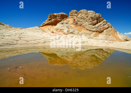 Gehirn-Felsen am White Pocket, ausgewaschene Navajo Sandsteinfelsen mit Liesegang Bands oder Liesegang-Ringe, Pareah Paria Plateau, Stockfoto