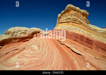 Lollipop Rock, Gehirn Felsen am White Pocket erodiert Navajo Sandsteinfelsen mit Liesegang Bands oder Liesegang-Ringe, Pareah Paria Stockfoto