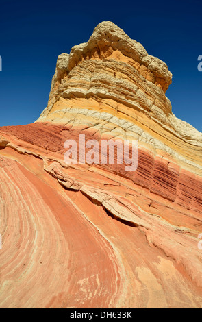 Lollipop Rock, Gehirn Felsen am White Pocket erodiert Navajo Sandsteinfelsen mit Liesegang Bands oder Liesegang-Ringe, Pareah Paria Stockfoto