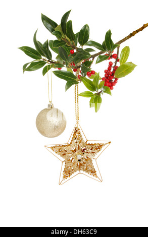 Weihnachtskugel Sterne und gold hängen an einem Ast Holly vor einem weißen Hintergrund Stockfoto