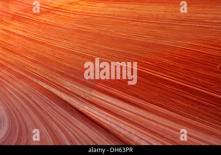 Detailansicht der typischen Liesegang Bands oder Liesegang-Ringe, The Wave, gebändert ausgewaschene Navajo Sandsteinfelsen, North Coyote Buttes, Stockfoto