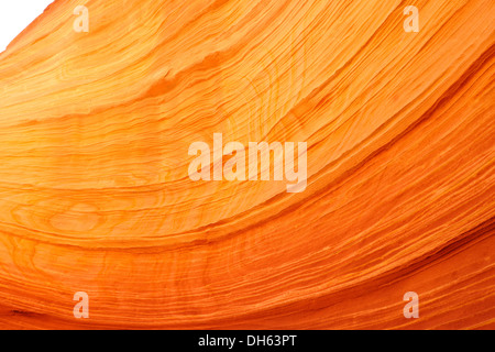 Detailansicht der typischen Liesegang Bands oder Liesegang-Ringe, The Wave, gebändert ausgewaschene Navajo Sandsteinfelsen, North Coyote Buttes, Stockfoto