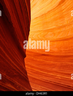 Detailansicht der typischen Liesegang Bands oder Liesegang-Ringe, The Wave, gebändert ausgewaschene Navajo Sandsteinfelsen, North Coyote Buttes, Stockfoto