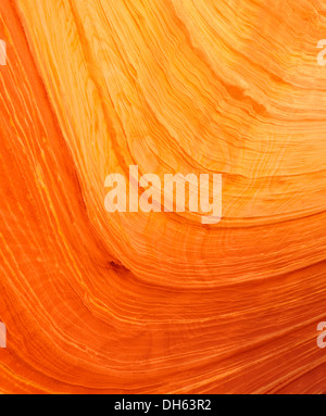 Detailansicht der typischen Liesegang Bands oder Liesegang-Ringe, The Wave, gebändert ausgewaschene Navajo Sandsteinfelsen, North Coyote Buttes, Stockfoto