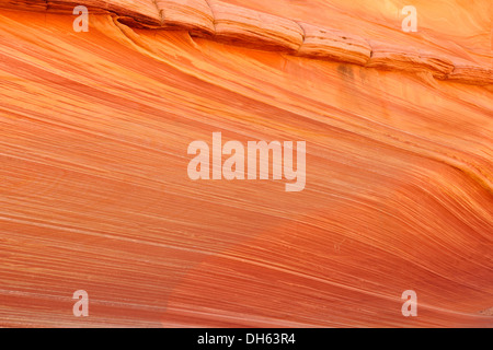 Detailansicht der typischen Liesegang Bands oder Liesegang-Ringe, The Wave, gebändert ausgewaschene Navajo Sandsteinfelsen, North Coyote Buttes, Stockfoto