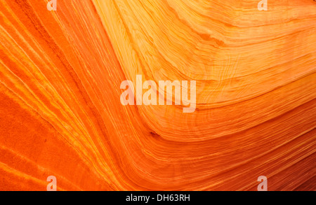 Detailansicht der typischen Liesegang Bands oder Liesegang-Ringe, The Wave, gebändert ausgewaschene Navajo Sandsteinfelsen, North Coyote Buttes, Stockfoto