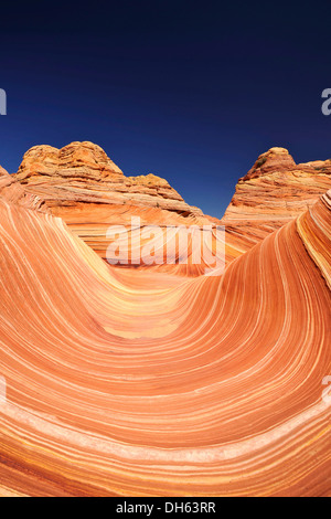 Die Welle, gebändert erodiert Navajo Sandsteinfelsen mit Liesegang Bands oder Liesegang-Ringe, North Coyote Buttes, CBN, Pareah Paria Stockfoto