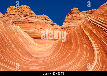 Die Welle, gebändert erodiert Navajo Sandsteinfelsen mit Liesegang Bands oder Liesegang-Ringe, North Coyote Buttes, CBN, Pareah Paria Stockfoto