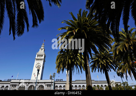 Ferry Building, Ferry Plaza, Embarcadero, San Francisco, California, Vereinigte Staaten von Amerika, USA, PublicGround Stockfoto