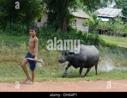 Siem Reap, Kambodscha. 13. Oktober 2013. Ein Kind geht mit einem Wasserbüffel an der Leine in der Nähe von Siem Reap, Kambodscha, 13. Oktober 2013. Foto: Jens Kalaene/Dpa/Alamy Live News Stockfoto