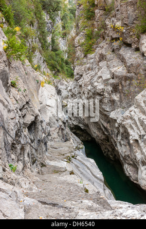 Fluss Bellos, Canon de Anisclo, Parque Nacional de Ordesa y Monte Perdido, Pyrenäen, Huesca Provinz, Aragon, Spanien, Europa. Stockfoto