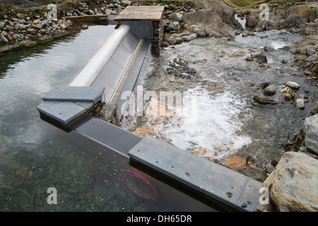 Wehr auf Afon Llan Fluss in Snowdonia sammelt Wasser für kleine Wasserkraftwerke-Schema National Trust. CWM Llan Gwynedd Wales UK Stockfoto