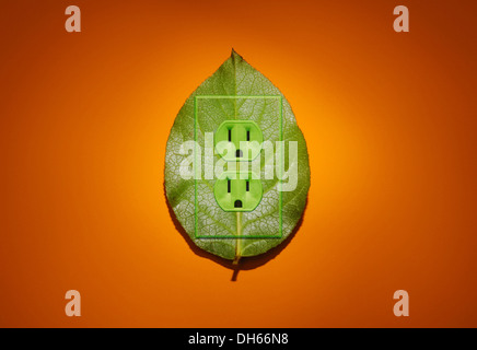Eine grüne Pflanze Blatt grün farbigen Steckdosen hinzugefügt. Leuchtend orange Hintergrund Stockfoto