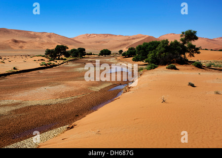 Seltene Wasser im Fluss Tsauchab, Sossusvlei im Namib-Wüste, Namibia, Afrika Stockfoto