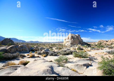 Felsige Landschaft im Joshua Tree National Park, Mojave-Wüste, Kalifornien, USA Stockfoto