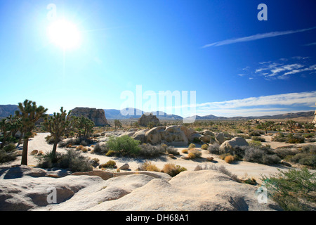 Felsige Landschaft im Joshua Tree National Park, Mojave-Wüste, Kalifornien, USA Stockfoto