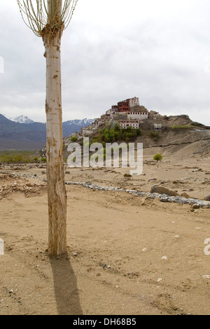 Thikse Gompa oder Thikse Kloster, tibetisch-buddhistischen Kloster in der Himalaya-Region in der Nähe von Leh, Fernsicht mit einem Berg Stockfoto