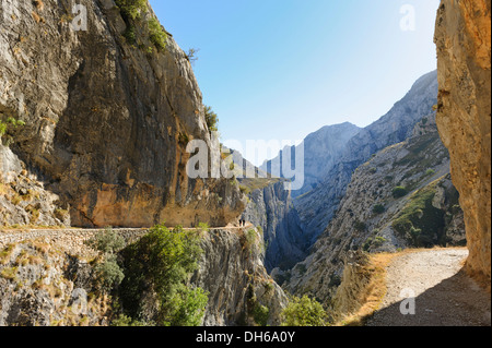 Rio cares Schlucht, kalksteinmassiv der Picos de Europa, Wanderer, Picos de Europa National Park, die Kantabrischen Berge Stockfoto