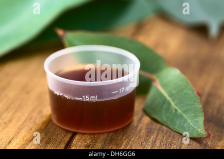 Eukalyptus-Hustensaft in Medizin-Cup mit frischen Eukalyptus Blätter (selektiven Fokus, Fokus auf das 15ml-Zeichen auf der Tasse) Stockfoto