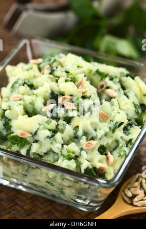 Kartoffelpüree mit frischen Kräutern und gerösteten Sonnenblumenkernen in Glasschale Stockfoto