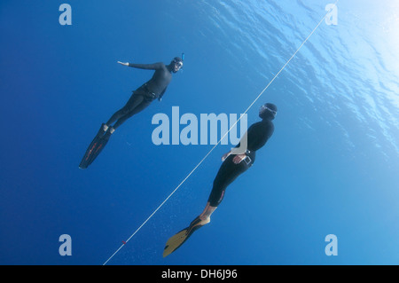 Freediver, Ägäis, Insel Symi, Griechenland Stockfoto