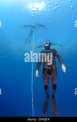 Freediver, Ägäis, Insel Symi, Griechenland Stockfoto