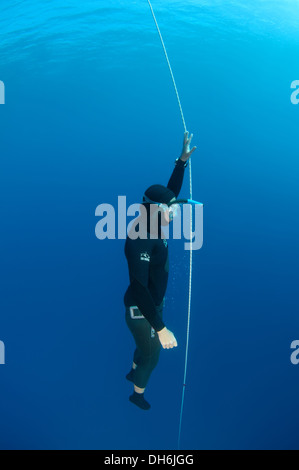 Freediver, Ägäis, Insel Symi, Griechenland Stockfoto